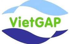 Ứng dụng thuốc bảo vệ thực vật sinh học – giải pháp quan trọng để thực hiện VietGAP
