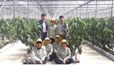 Bộ môn Khoa học cây trồng kiểm tra sinh viên thực tập nghề tại Công ty TNHH Đầu tư nông nghiệp Vineco - VinGroup